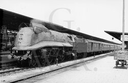 PKP Pm3-4, Poznan  24.6.1958.jpg