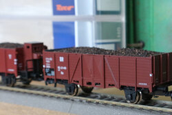 IMG_7123.jpg