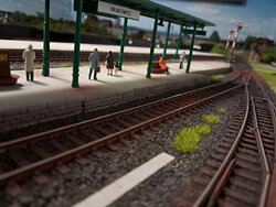 Krakowice sesja (2).jpg