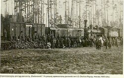 P.P.15 Paderewski.jpg