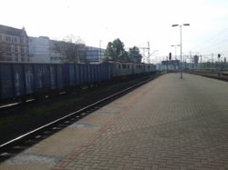 Zdjęcie-0038.jpg