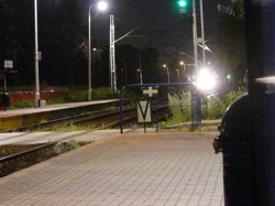 P1100255.JPG