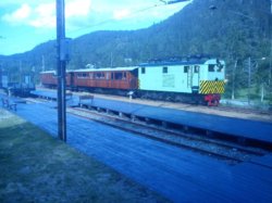 DSC00109.JPG