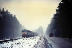 AA029.jpg