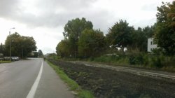 Zdięcia Telefon 012.jpg