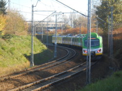 DSCN1446.JPG