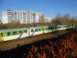 DSCN1451.JPG