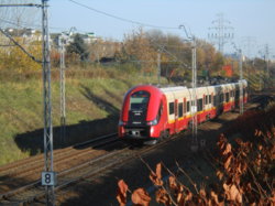 DSCN1456.JPG