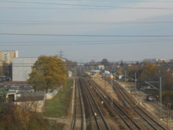 DSCN1464.JPG
