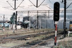 AA006.jpg