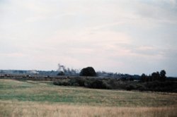 AA020.jpg