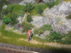 009.JPG