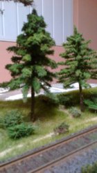 2013-11-23-250.jpg