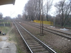 P1100537.JPG