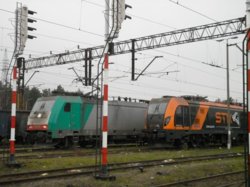 P1000760 miniatura.jpg