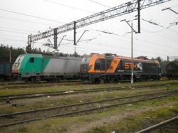 P1000761 miniatura.jpg