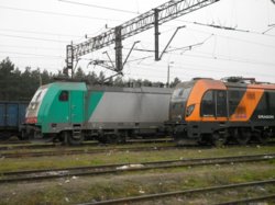 P1000763 miniatura.jpg