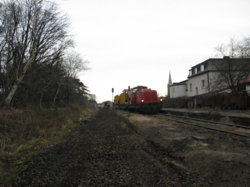 PC150021.JPG