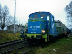 P1010037 miniatura.jpg