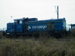 P1010038  miniatura.jpg