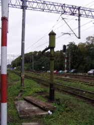 P1011105mm.jpg