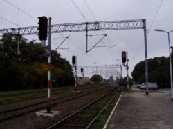 P1011116mm.jpg