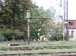 P1011117mm.jpg