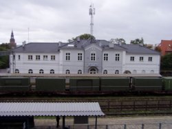 P1011119mm.jpg