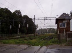 P1011137mm.jpg