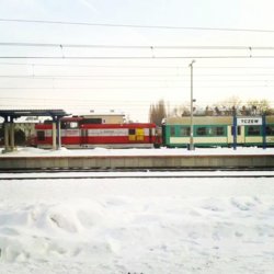 IMG_20140127_115825.jpg