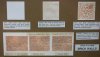 20100306 AbRail 12.jpg