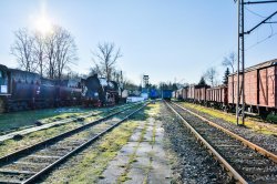 DSC_1516-1-3.JPG