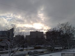 201003151240.jpg