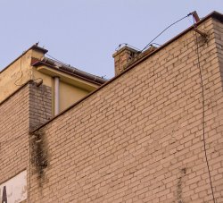 IMG_8732.jpg