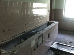 IMG_1324.JPG