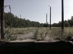 IMG_1336.JPG