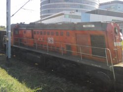 ZdjÄ™cie1035[1].jpg