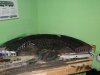 DSC02451.JPG