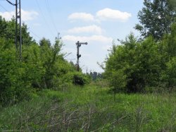 IMG_0963.JPG