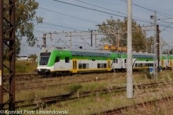 KPL-7118.jpg