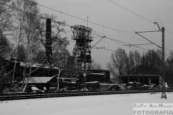 DSC_2451.JPG