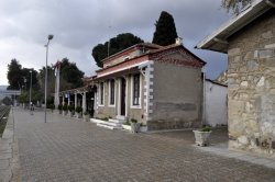 _DSC0090.JPG