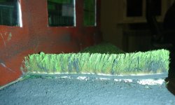 20150218_180709.jpg