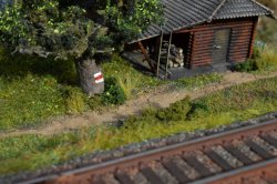 diorama 6.jpg
