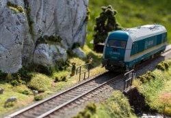Diorama górska 8.jpg