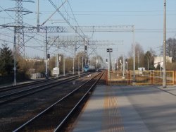 DSCN3746.JPG