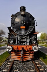 _DSC0695.JPG