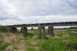 DSC_2294.jpg