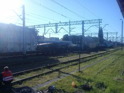 DSC00124.JPG