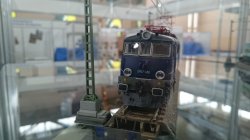 DSC_0037.JPG